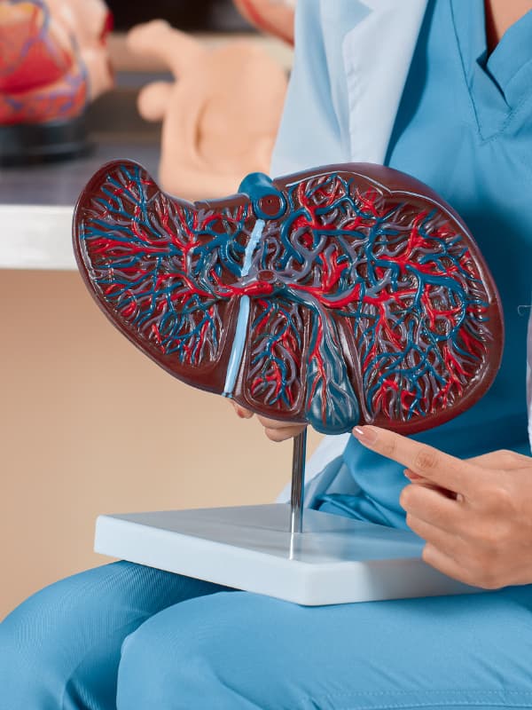 Natural ways to manage Non-alcoholic fatty liver disease (NAFLD)