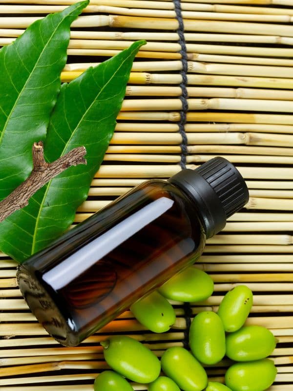 Natural ways to enhance dental care