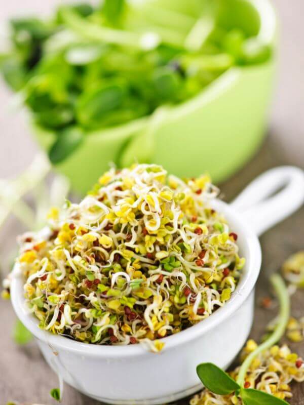 What Are Amino Acids? Secret Plant with 9 Essentials & Natural Synergy