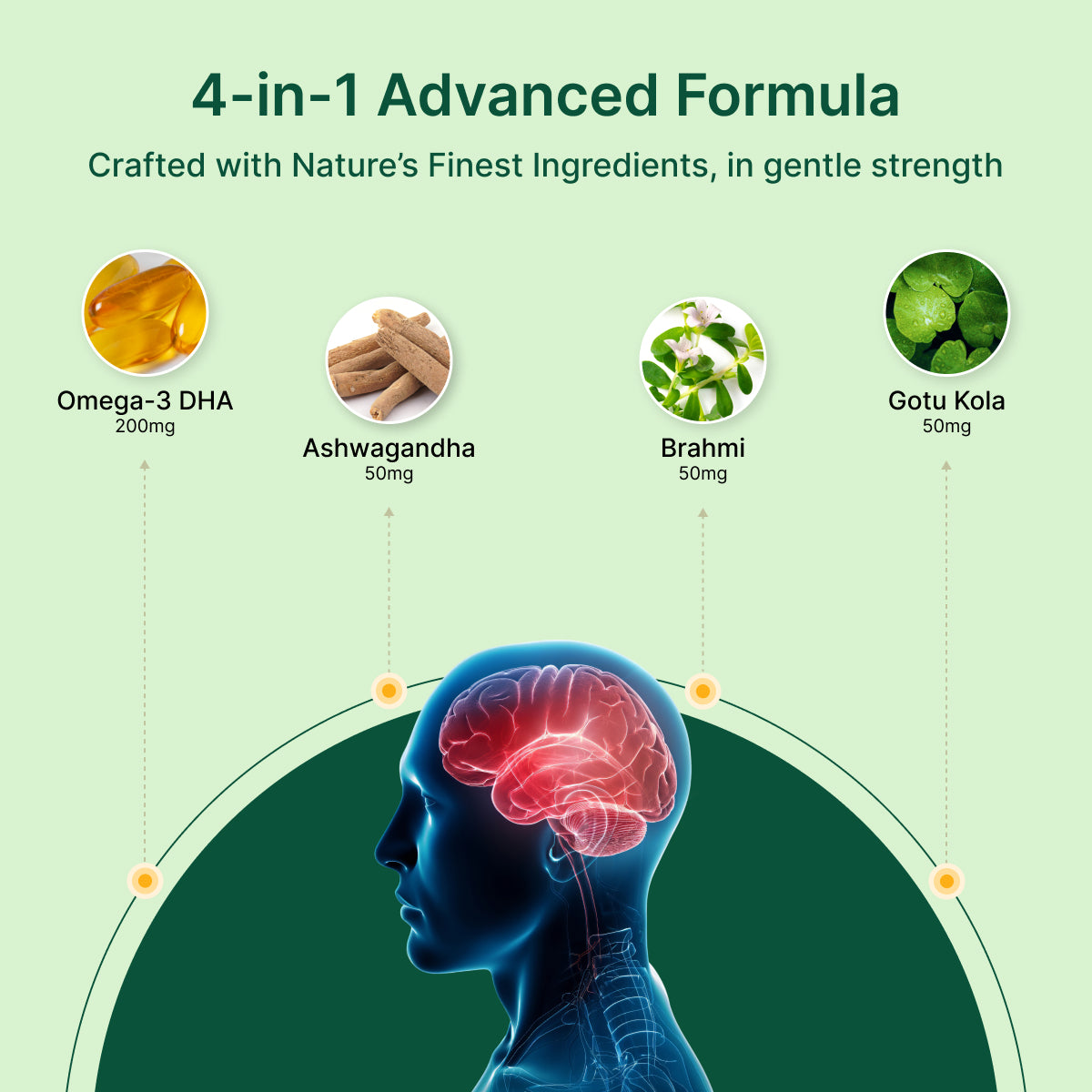 
                  
                    4-in-1 Advanced Formula with brain illustration and nature ingredients on a green background
                  
                