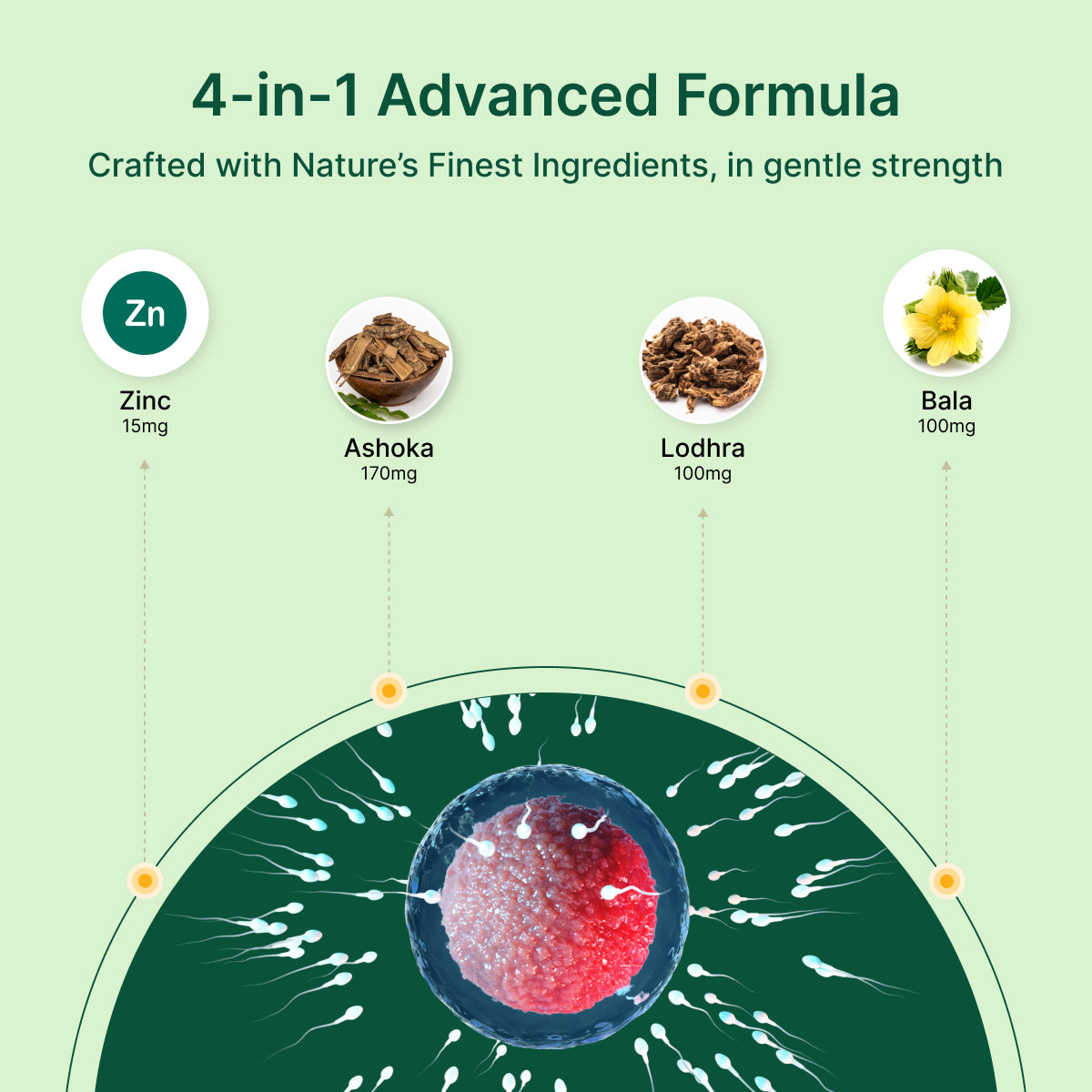
                  
                    Advertisement for a '4-in-1 Advanced Formula' with nature's finest ingredients on a green background.
                  
                