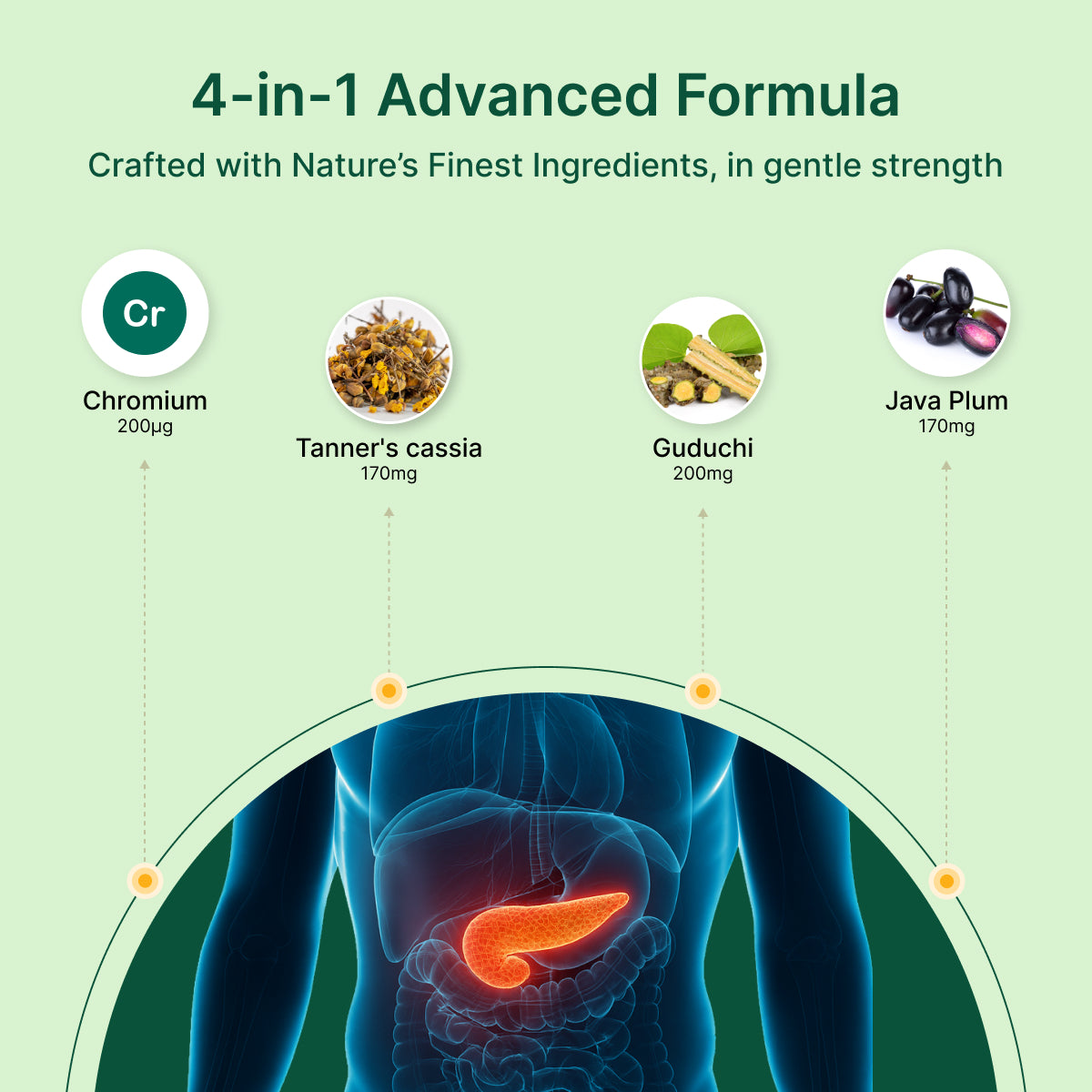 
                  
                    4-in-1 Advanced Formula with nature's finest ingredients on a green background
                  
                