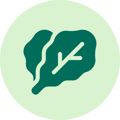 <b>Vegan Friendly</b> Made with carefully selected plant-based ingredients for pure, natural support.