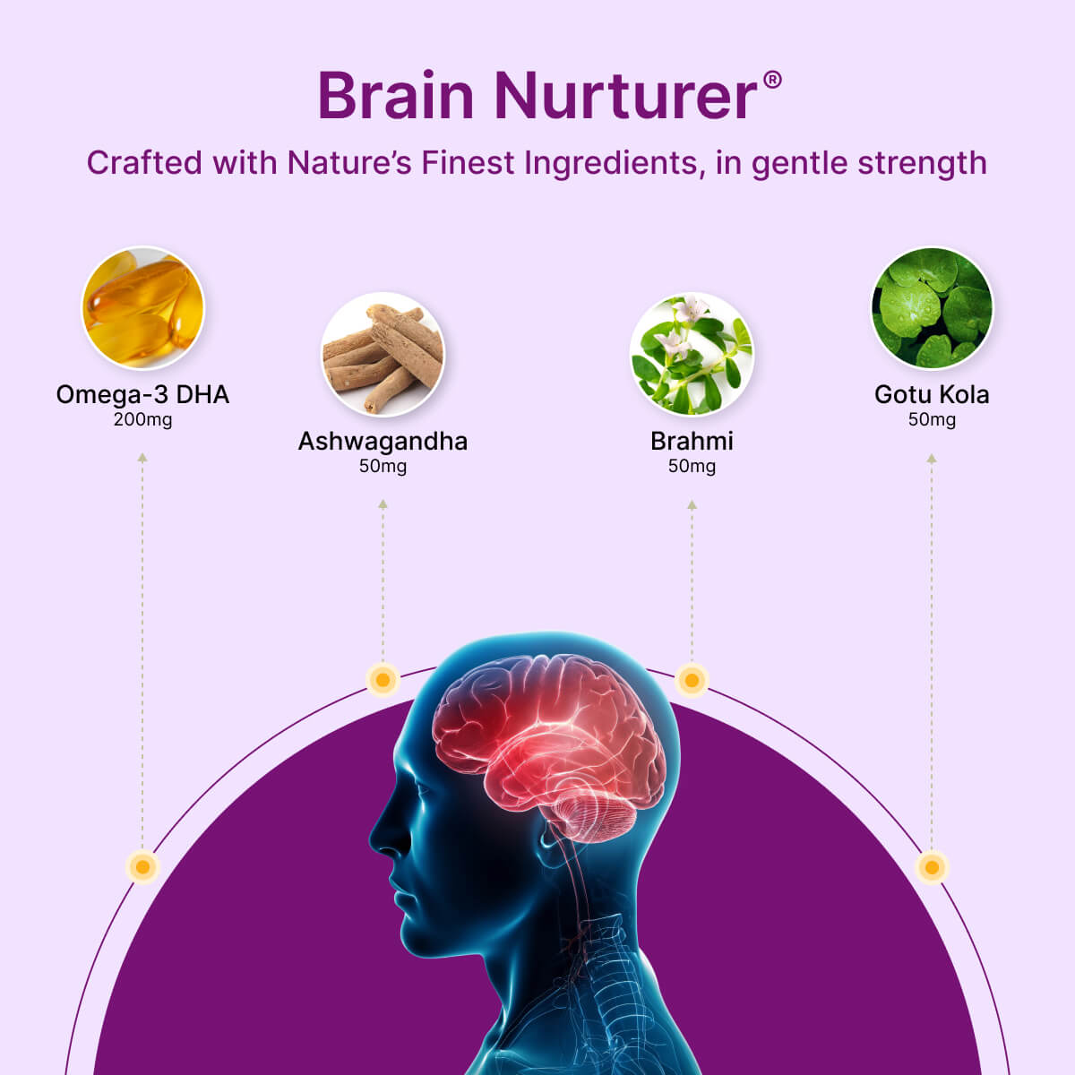 
                  
                    BeatNaturally's Brain Nurturer ingredients and a brain illustration on a purple background
                  
                