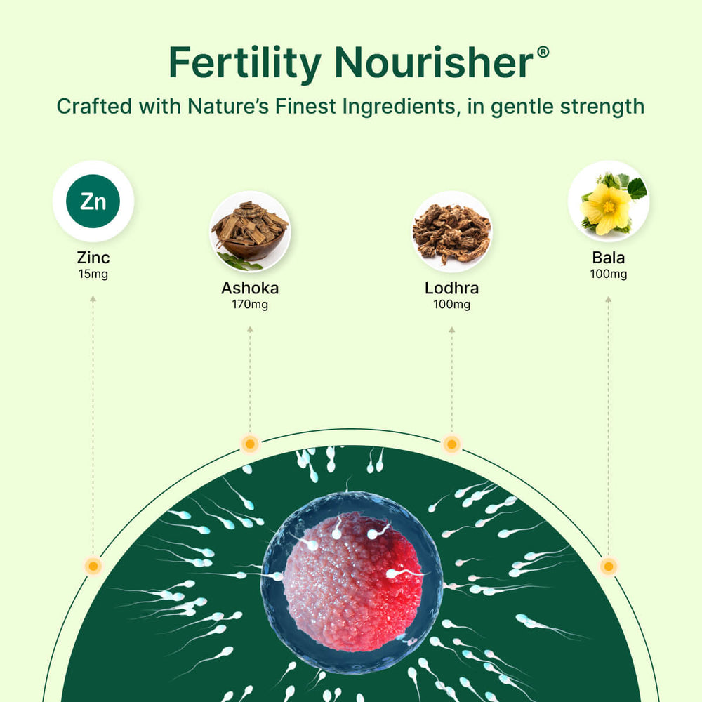
                  
                    Fertility Nourisher ingredients and a diagram of a fertilized egg on a green background.
                  
                