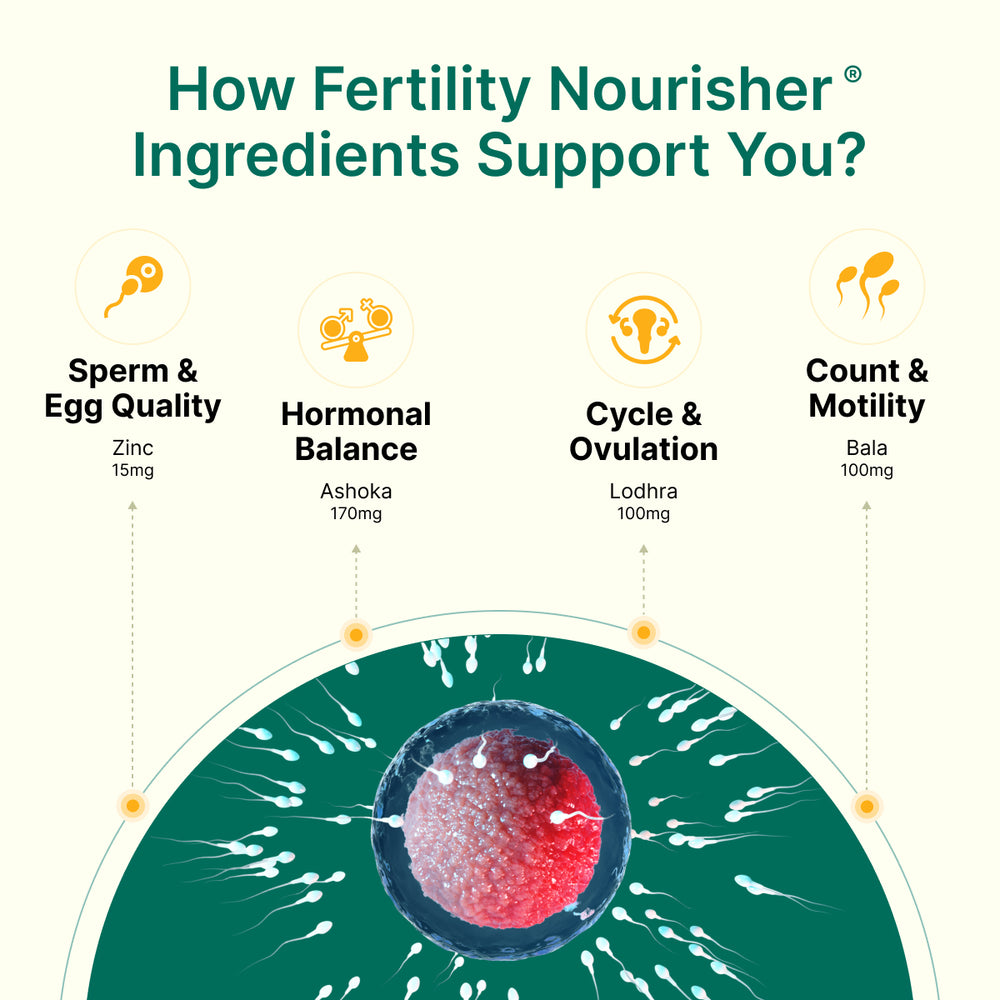 
                  
                    Diagram showing how Fertility Nourisher ingredients support fertility with a focus on sperm & egg quality, hormonal balance, menstrual cycle, ovulation, sperm count and motility.
                  
                