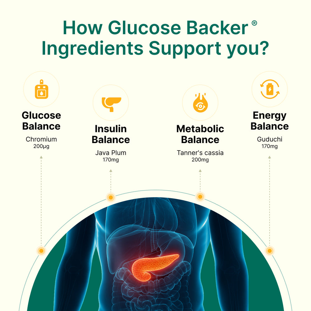 
                  
                    Diagram of glucose backer ingredients with a focus on glucose balance, insulin balance, metabolic balance, and energy balance.
                  
                