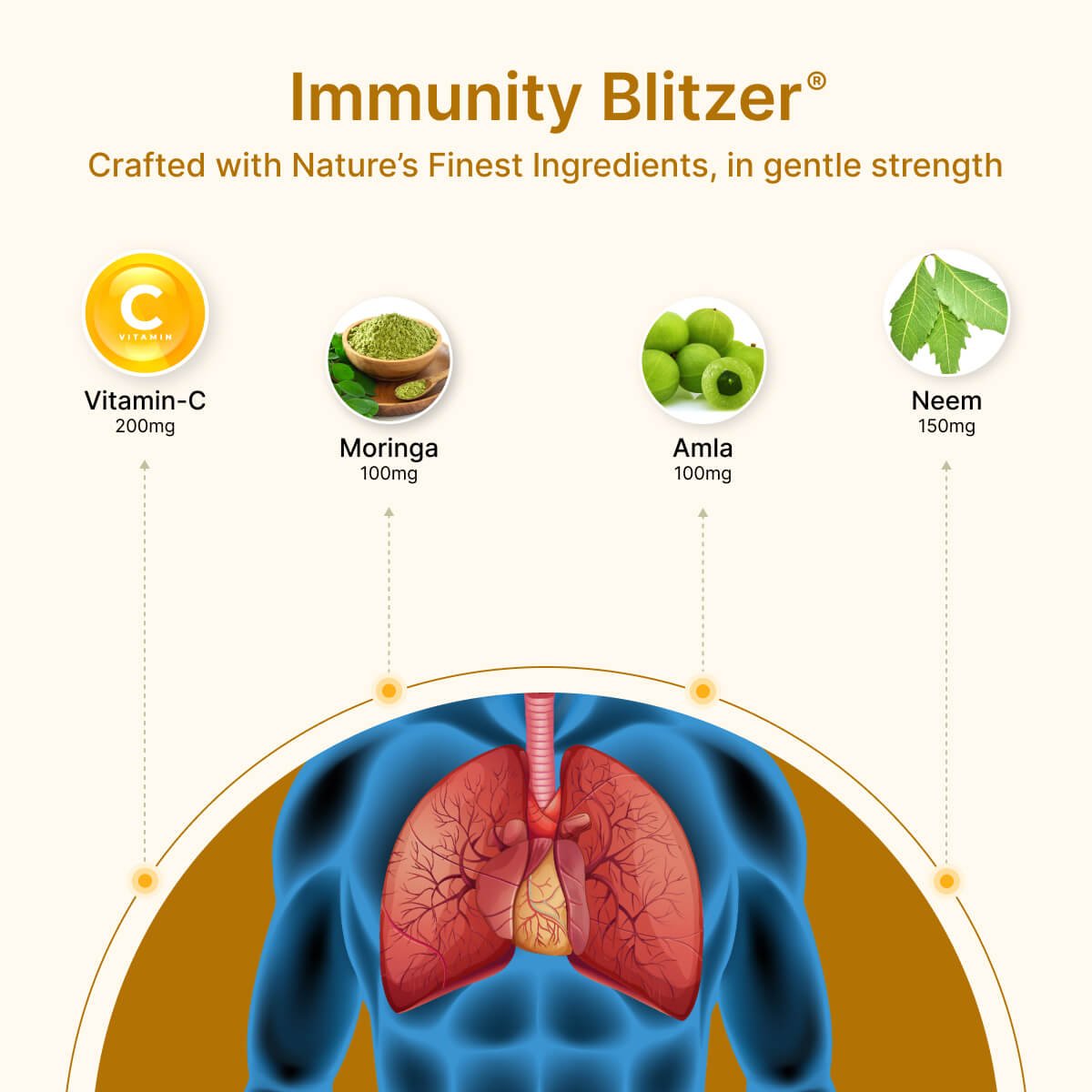 
                  
                    Immunity Blitzer Ingredients and human lungs image.
                  
                