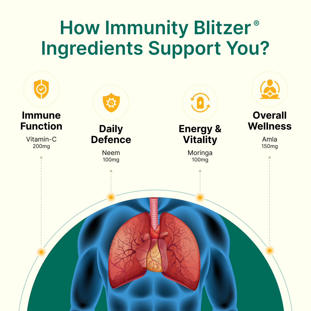 
                  
                    Diagram showing how Immunity Blitzer ingredients support immune system with a focus on immune function, daily defence, energy & vitality and overall wellness.
                  
                