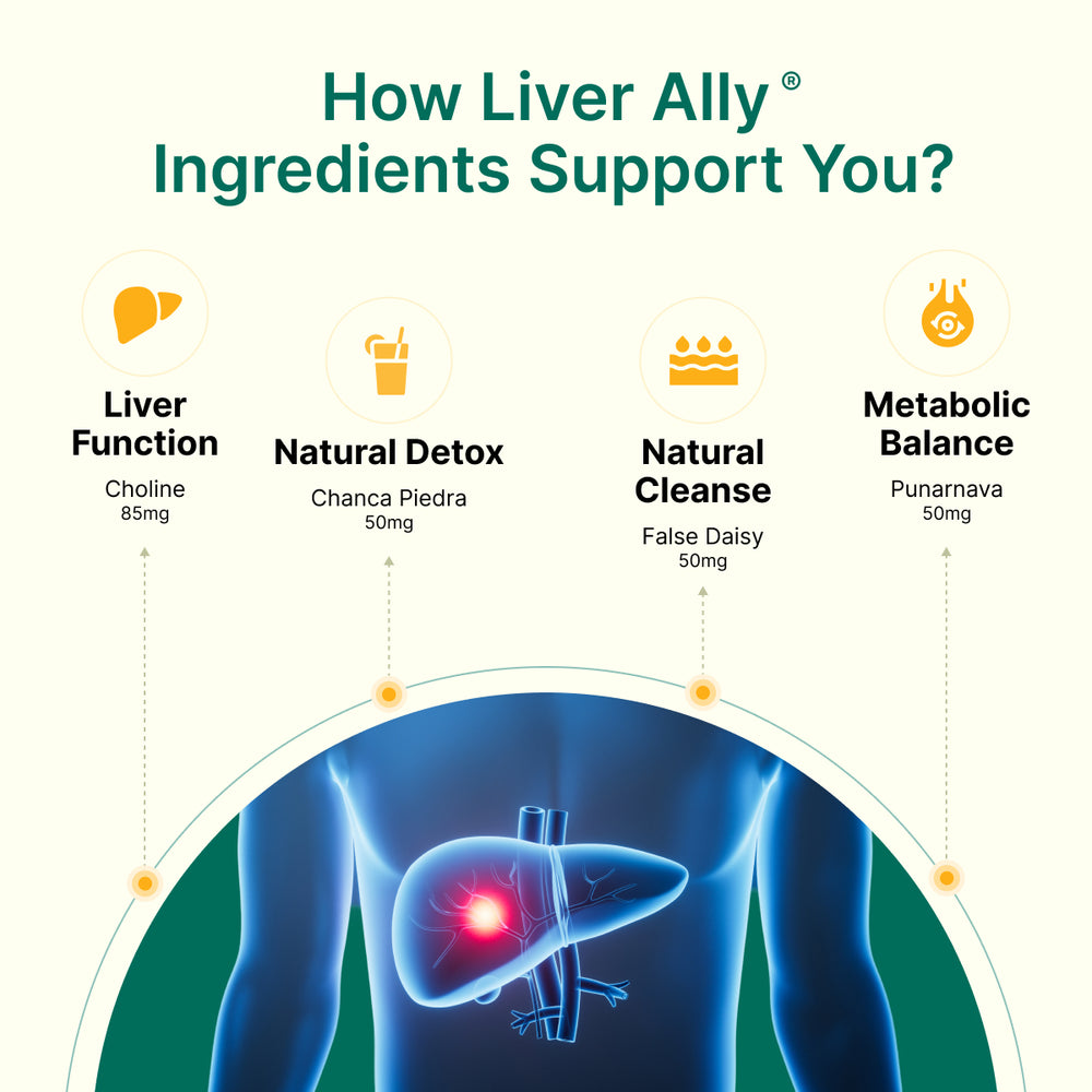 
                  
                    Diagram showing how Liver Ally ingredients support liver health with a focus on liver function, detoxification, cleansing, and metabolic balance.
                  
                